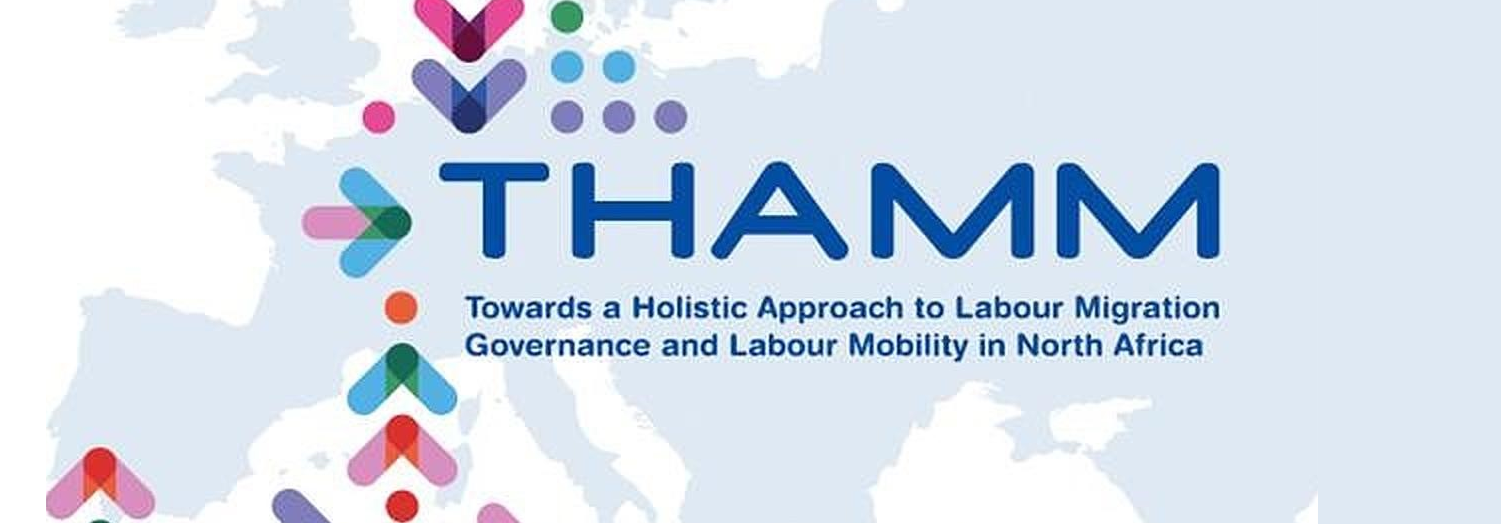  THAMM  project