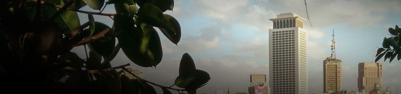 Frame 1030 (1)